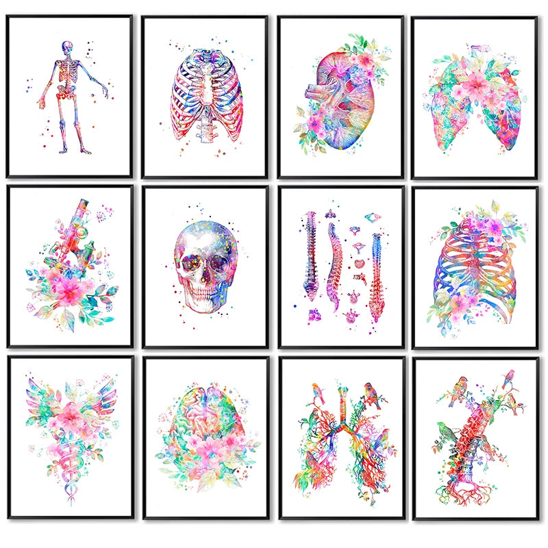 Anatomy Medical Poster Flower Organ Wall Art Canvas Painting Anthropology Educational Picture for Laboratory Doctor's Room Decor Anatomy Medical Poster Flower Organ Wall Art Canvas Painting Anthropology Educational Picture for Laboratory Doctor's Room Decor